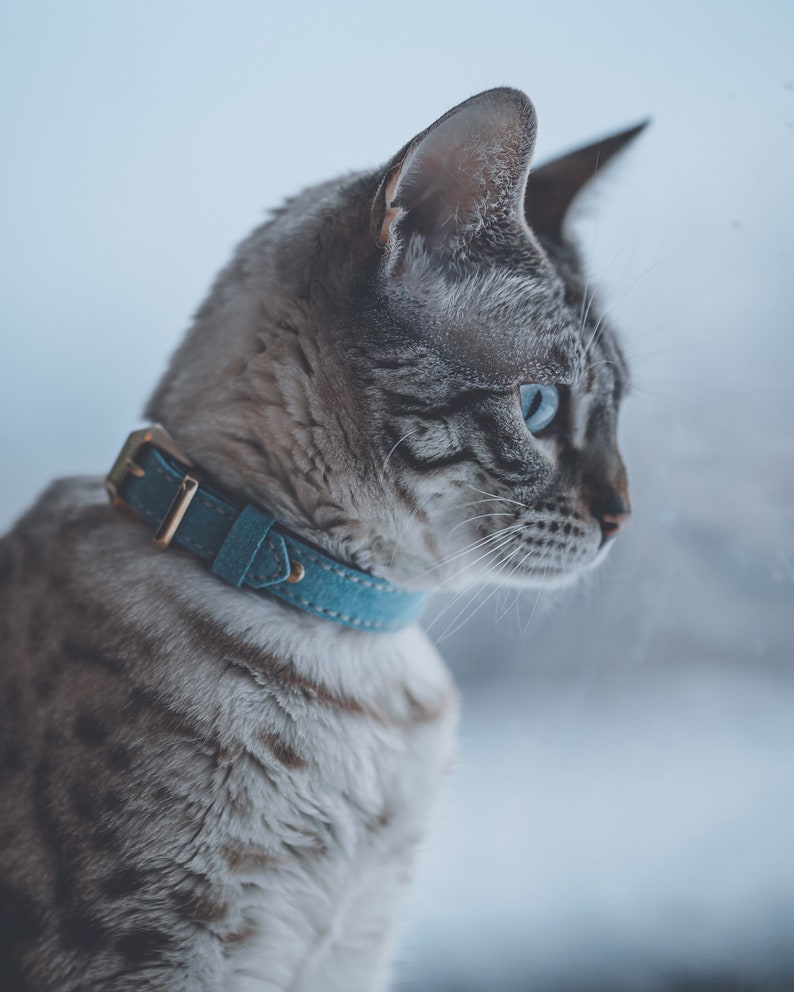 Cat Collar Leather, Breakaway Cat Collar, Leather Cat Collar, Personalized Collar, Green Cat Collar, Handmade Jewelry Easter Gift image 6