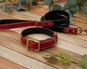 Red Leather Dog Collar and Leash Set – Handmade Pet Accessories with Solid Brass Hardware