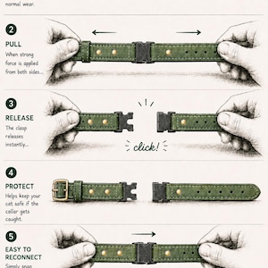 May include: A green leather pet collar with a black plastic breakaway clasp and brass buckle. The infographic illustrates five steps: SECURE, PULL, RELEASE, PROTECT, and EASY TO RECONNECT. Text includes COLLARAKI Handmade Leather Pet Accessories.