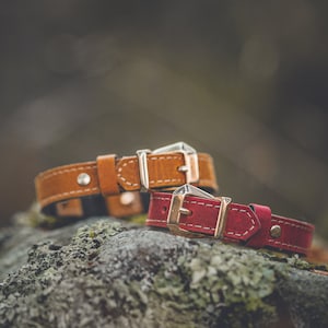 Leather Cat Collar, Breakaway Buckle, Cat Collar Breakaway, Luxury Cat Collar, Unique Summer Gift