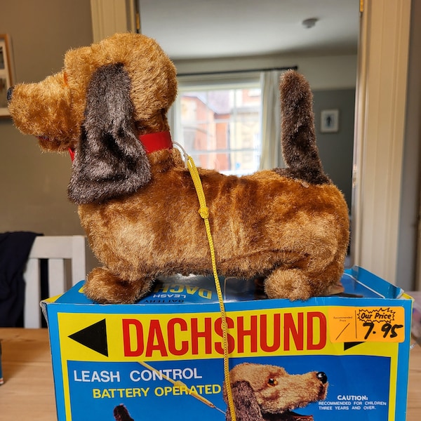 Vintage Dachsund toy/Dachsund toy dog on lead with red collar/1960s toy dog/leash control dachsund/cute vintage Dachsund/working walking dog