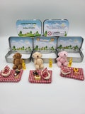 Teddy bear picnic/pocket teddy hug /anxiety bear hug/picnic gift/personalised teddy/teddy in pocket tin summer mini plush/personalised