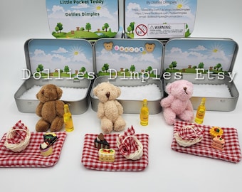 Teddy bear picnic/pocket teddy hug /anxiety bear hug/picnic gift/personalised teddy/teddy in pocket tin summer mini plush/personalised
