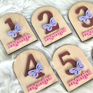 Cartes papillon, plaque 3D jalon mensuel, ensemble réversible bébé jalon, disques acryliques jalon, accessoires photo mensuels