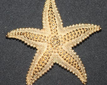 Monet Starfish Brooch