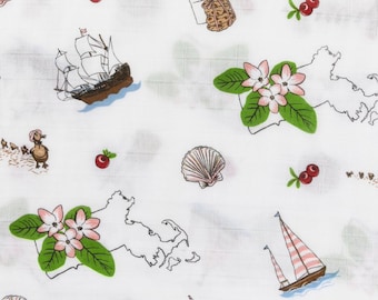 Massachusetts Girl Swaddle