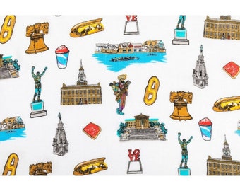 Philadelphia Baby Swaddle