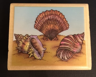 PSX 2000 Seashell SK623a Beach Ocean Summer Rubber Wood Mounted Stamp Gently Used Card Making Scrapbooking