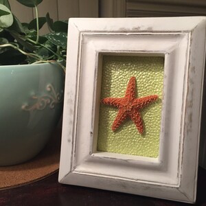 Beach Decor and Coastal Decor, White Frame with Colorful Starfish image 1