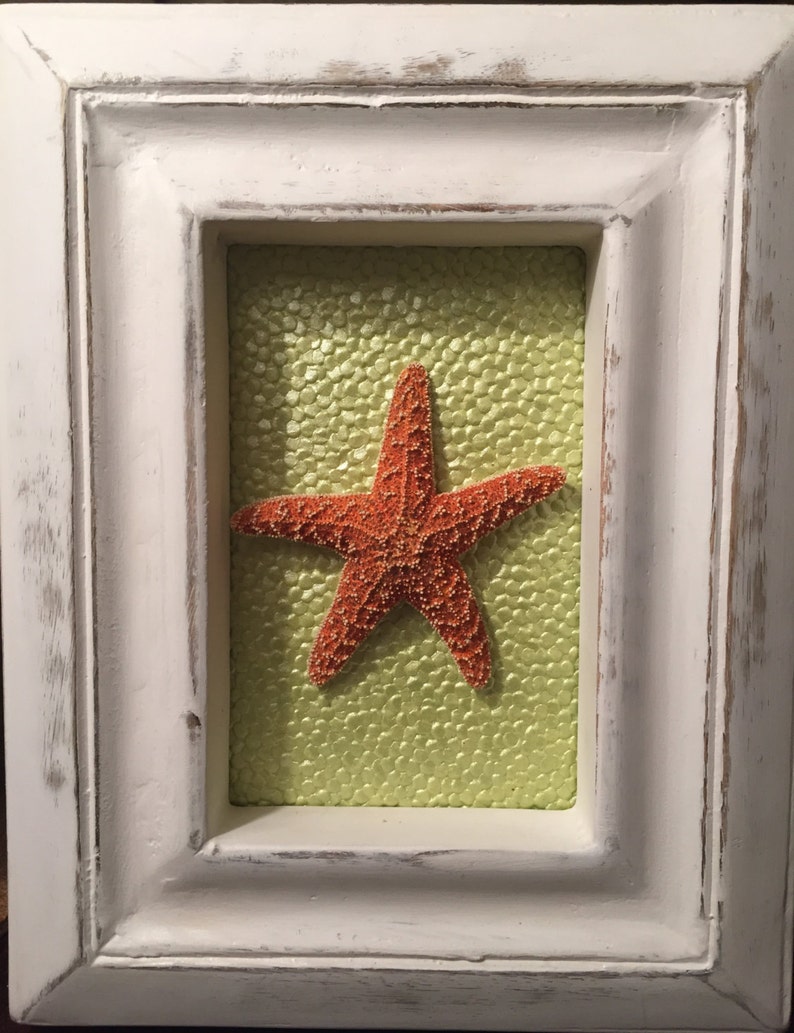 Beach Decor and Coastal Decor, White Frame with Colorful Starfish image 2