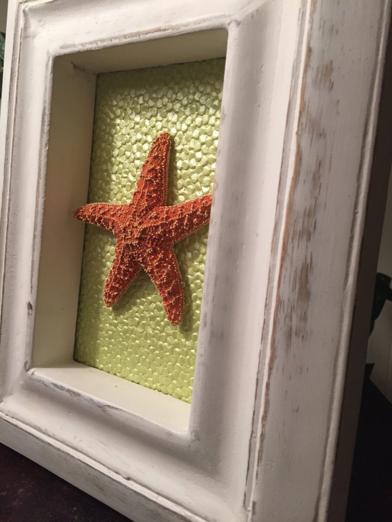 Beach Decor and Coastal Decor, White Frame with Colorful Starfish image 3