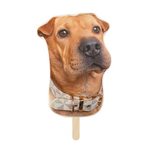 Dog Face on a Stick, Cat Big Heads, Dog Birthday Party, Custom Face Cut Out, Pet Photograph, Wedding Prop, Gift for Pet Owners, Dog Lovers