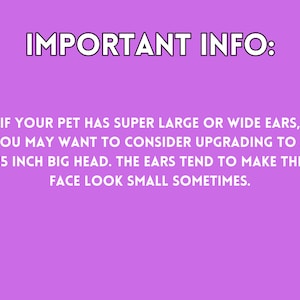 If your pet has super larger or wide ears, you may want to consider upgrading to a 15 inch big head. The ears tend to make the face look small sometimes.