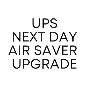 UPS Next Day Air Saver Shipping Upgrade