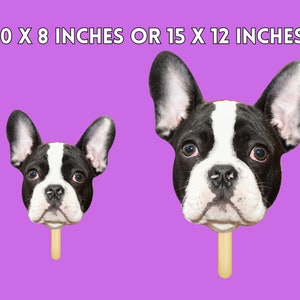 Face on a stick comes in size 8 by 10 and 12 x 15 inches. If a pet has large ears, size up to the 15 inch option.