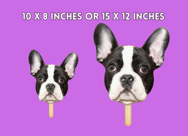 Face on a stick comes in size 8 by 10 and 12 x 15 inches. If a pet has large ears, size up to the 15 inch option.