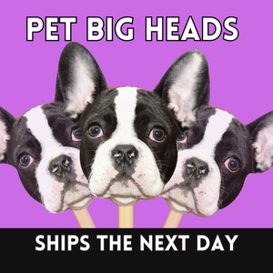Pet Face on Stick, Personalized Dog Big Heads, Custom Cat Big Heads, Gift for Dog Mom, Wedding Props, Photo booth Prop, Big Head on Stick