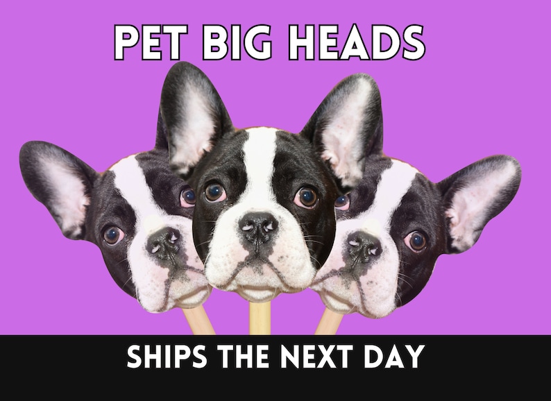 Pet Big Head on a Stick, Face on a Stick, Dog Face on a Stick, Ships The Next Day, Gift for Dog Mom, Gift for Pet Lover