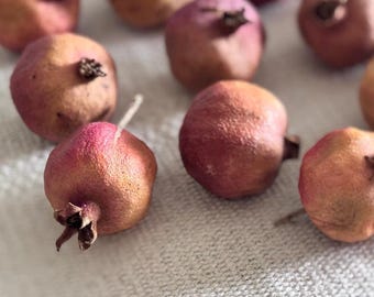 Dry Pomegranates Mini Real Dried Fruits Ethnic Decor Realistic Prop Food Art Vase Decor Botanical Centerpiece Harvest Table Party Tray