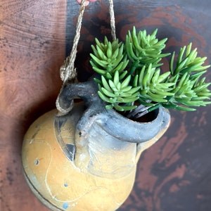 May include: A hanging terracotta planter with a dark brown glaze and a rustic design. The planter is filled with green succulents.