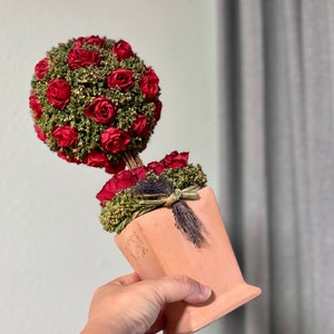 May include: A small terracotta pot with a red rose topiary. The topiary is made of dried red roses and green foliage.