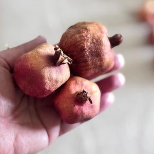 Pode incluir: Três romãs secas em uma mão. As romãs são rosa-avermelhadas com pele texturizada e caules secos. O fundo é de uma cor suave e neutra, com mais algumas romãs fora de foco.