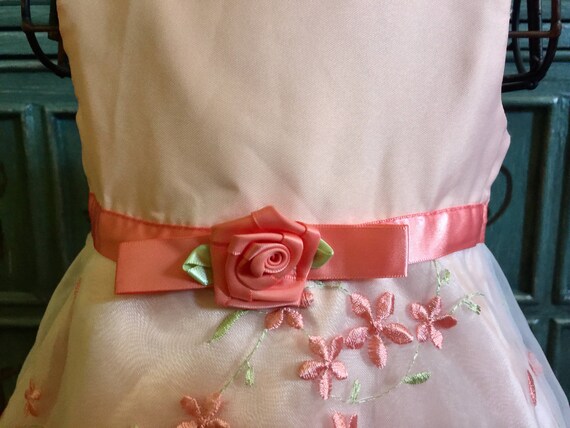 The Baby Gown - Rose main image 0