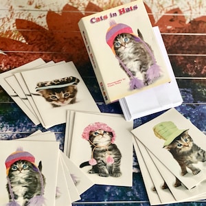 Katzen mit Hut Grußkarte Geschenkbox Sammlung Haustier Illustration Tierliebhaber Geschenk Weihnachtsmitteilung Hinweisbox Sammlerkarte Wunderliches Kätzchen