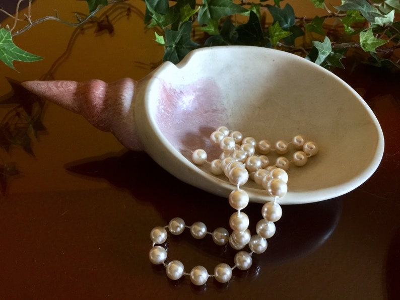 Stone Art Shell Serving Bowl Conch Nautical Jewelry Holder Etsy
