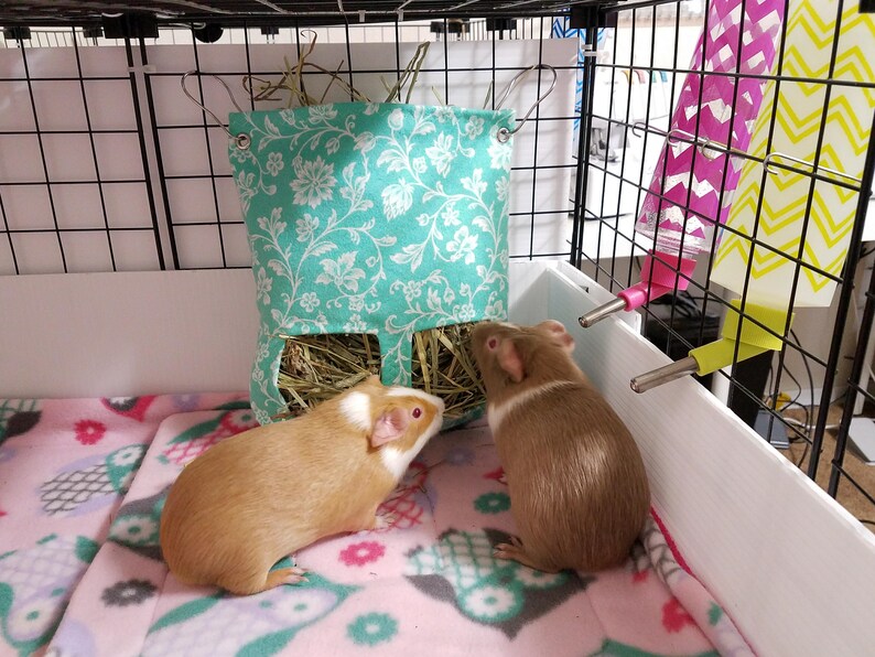 guinea pig hay bag