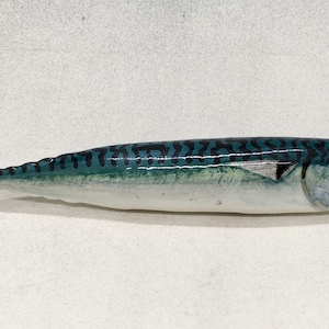 May include: A ceramic mackerel fish sculpture with a blue and green painted design. The fish has a white belly and a black eye.