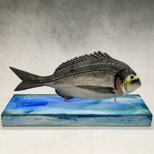 May include: A ceramic sculpture of a grey and white fish on a blue and green painted wooden base. The fish has a yellow and red eye and is signed "M.G. 23".