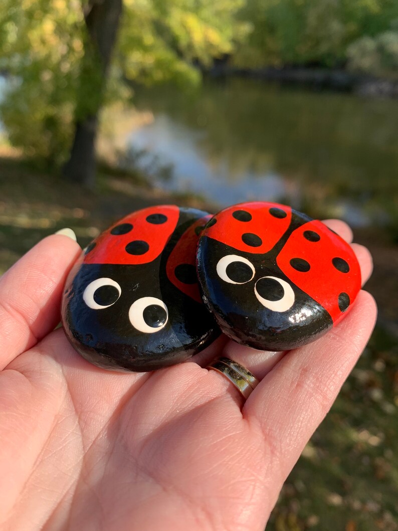 Ladybug Gift Hand Painted Ladybug Art Hand Painted Rock Hand Painted Ladybug Rock with Acrylic Paint