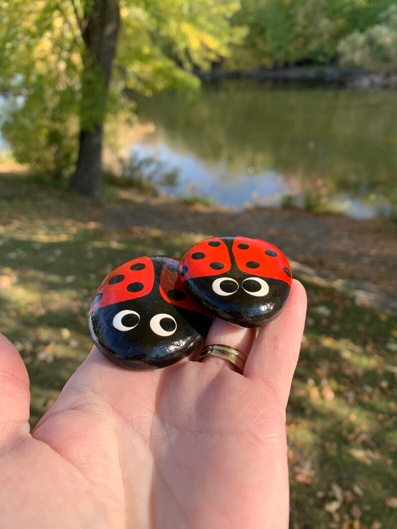 Ladybug Gift Hand Painted Ladybug Art Hand Painted Rock Hand Painted Ladybug Rock with Acrylic Paint