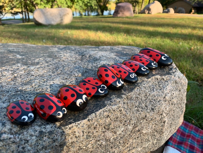 Ladybug Gift Hand Painted Ladybug Art Hand Painted Rock Hand Painted Ladybug Rock with Acrylic Paint