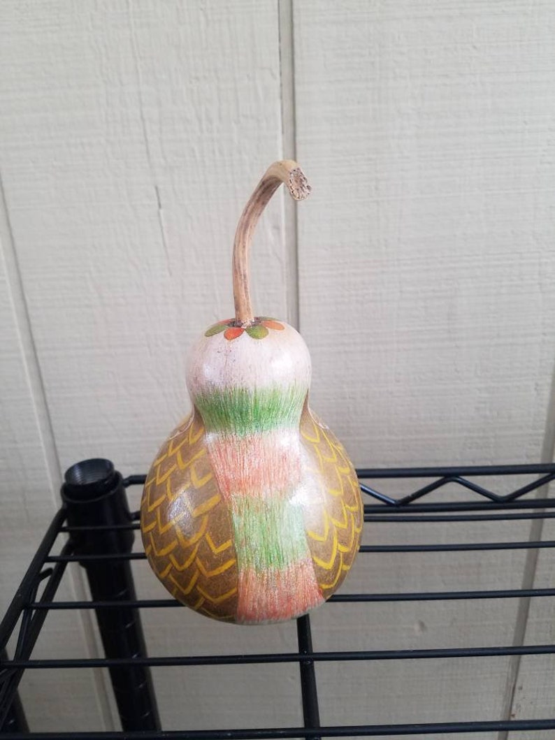 Chickie owl