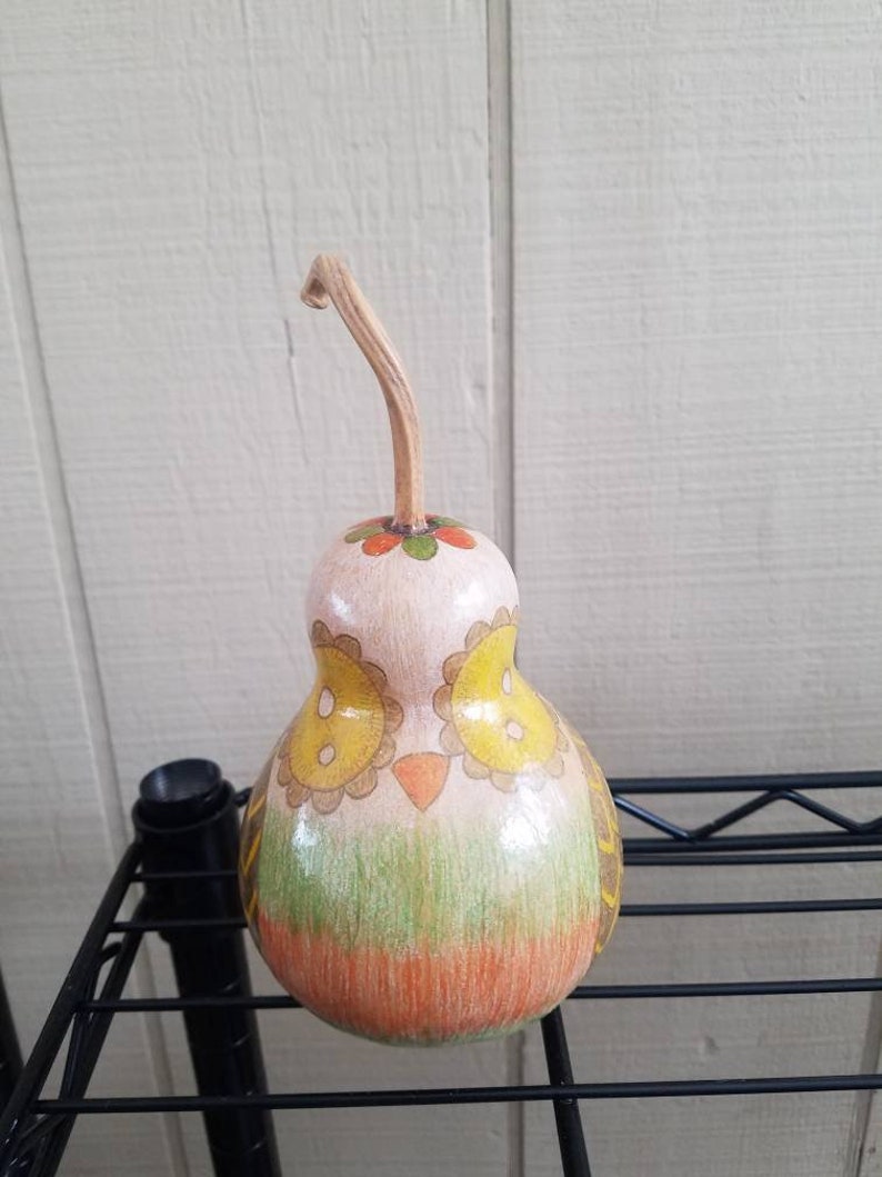 Chickie owl