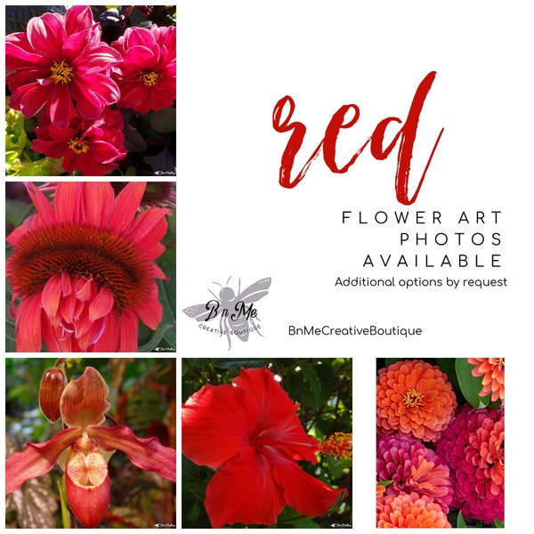 Red Flower Photo, Flower Photo Print, Botanic Wall Art, Flower Picture, Nature Art, Red Flower Art, Matted Flower Photo