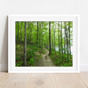 Landscape Photos of Favorite Walking Trails, 8 x 10 Photo Matted to 11 x 14, Customizable with Inspirational Quote