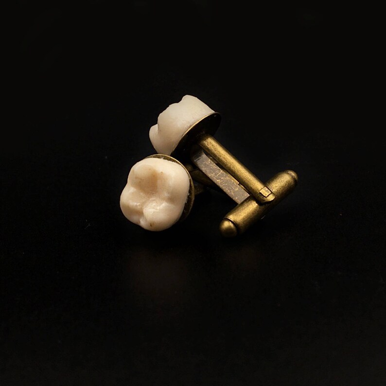 HUMAN TOOTH CUFFLINKS gemelli dente gemelli ossa gift for him teeth replica macabre taxidermy oddities molar gothic jewelry