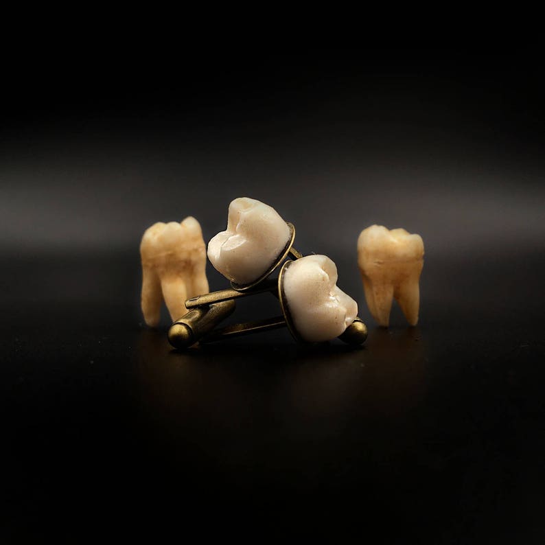 HUMAN TOOTH CUFFLINKS gemelli dente gemelli ossa gift for him teeth replica macabre taxidermy oddities molar gothic jewelry