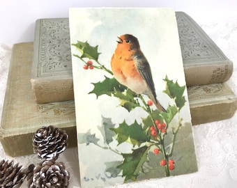Antique Christmas Postcard, Robin on Holly Branch, Catherine Klein, Artist Signed