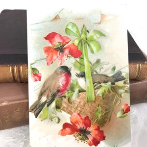 Antike Postkarte, Geburtstag, Gemälde von Vögeln im Korb, Mohnblumen, Max Ettlinger, 1906