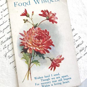 Antike Postkarte, Pink Nelken, Liebe Grüße, 1919