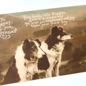 Antike Postkarte, Collie Hunde, Geburtstagsgruß, echte Fotografie, 1918