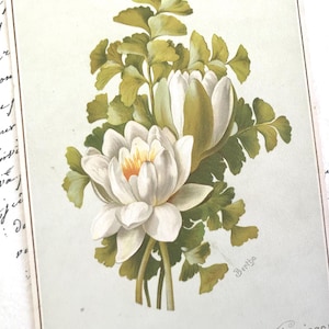 Viktorianische Geburtstagskarte, weiße Blumen, Botanisch, Künstler signiert, Verse von Shirley Wynne, Ollendorff, 1800er Jahre, zurückgeforderte Karte