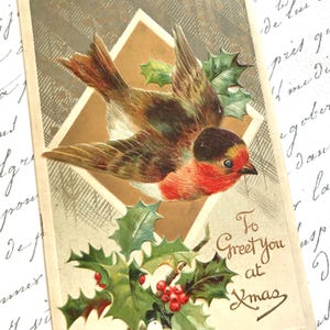 Schöne antike Weihnachtspostkarte, Rotkehlchen, Holly, Goldprägung, Birn Brothers