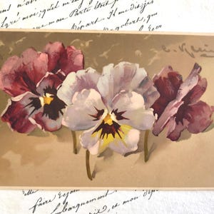 Antike Postkarte, Catherine Klein, signiert, Purple Pansies, 1906, Love Sprachstempel