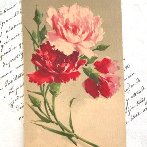 Vintage Postkarte, Catherine Klein, signiert, rosa und rote Nelken