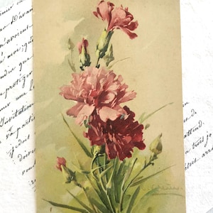 Vintage Postkarte, Catherine Klein, signiert, rosa und rote Nelken, PFB